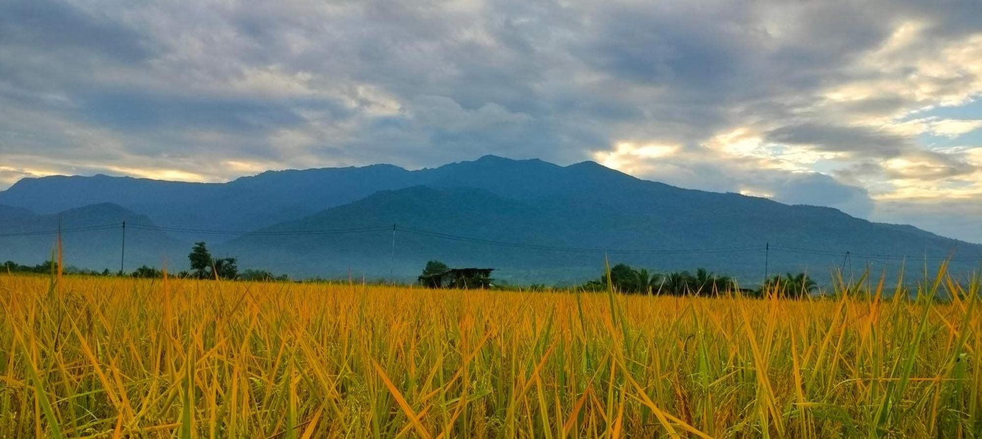 Poonsap Homestay Nan Dış mekan fotoğraf
