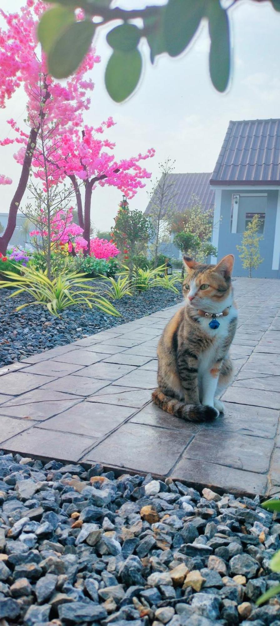 Poonsap Homestay Nan Dış mekan fotoğraf
