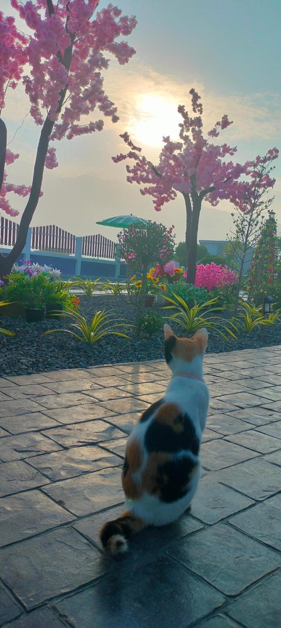 Poonsap Homestay Nan Dış mekan fotoğraf